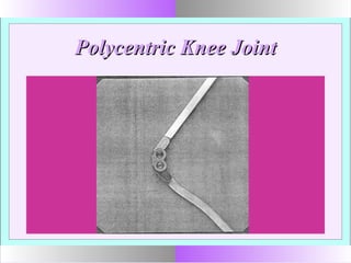 Polycentric Knee JointPolycentric Knee Joint
 