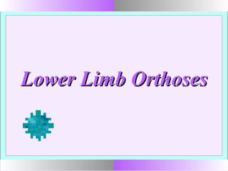 Lower Limb OrthosesLower Limb Orthoses
 