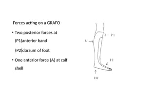 Comprehensive Guide to Lower Limb Orthoses: Types, Materials, and ...