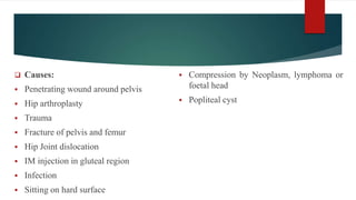  Causes:
 Penetrating wound around pelvis
 Hip arthroplasty
 Trauma
 Fracture of pelvis and femur
 Hip Joint dislocation
 IM injection in gluteal region
 Infection
 Sitting on hard surface
 Compression by Neoplasm, lymphoma or
foetal head
 Popliteal cyst
 