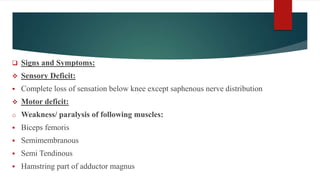  Signs and Symptoms:
 Sensory Deficit:
 Complete loss of sensation below knee except saphenous nerve distribution
 Motor deficit:
o Weakness/ paralysis of following muscles:
 Biceps femoris
 Semimembranous
 Semi Tendinous
 Hamstring part of adductor magnus
 