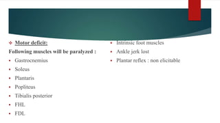  Motor deficit:
Following muscles will be paralyzed :
 Gastrocnemius
 Soleus
 Plantaris
 Popliteus
 Tibialis posterior
 FHL
 FDL
 Intrinsic foot muscles
 Ankle jerk lost
 Plantar reflex : non elicitable
 