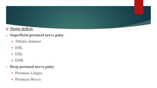 Motor deficit:
o Superficial peroneal nerve palsy
 Tibialis Anterior
 EHL
 EDL
 EDB
o Deep peroneal nerve palsy
 Peroneus Longus
 Peroneus Brevis
 