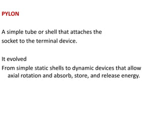 PYLON
A simple tube or shell that attaches the
socket to the terminal device.
It evolved
From simple static shells to dynamic devices that allow
axial rotation and absorb, store, and release energy.
 