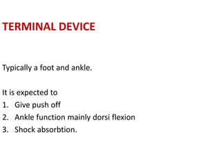 TERMINAL DEVICE
Typically a foot and ankle.
It is expected to
1. Give push off
2. Ankle function mainly dorsi flexion
3. Shock absorbtion.
 