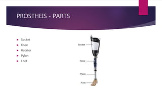 PROSTHEIS - PARTS
 Socket
 Knee
 Rotator
 Pylon
 Foot
 