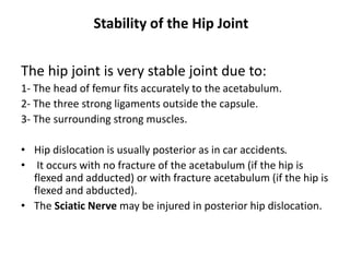 Stability of the Hip Joint
The hip joint is very stable joint due to:
1- The head of femur fits accurately to the acetabulum.
2- The three strong ligaments outside the capsule.
3- The surrounding strong muscles.
• Hip dislocation is usually posterior as in car accidents.
• It occurs with no fracture of the acetabulum (if the hip is
flexed and adducted) or with fracture acetabulum (if the hip is
flexed and abducted).
• The Sciatic Nerve may be injured in posterior hip dislocation.
 