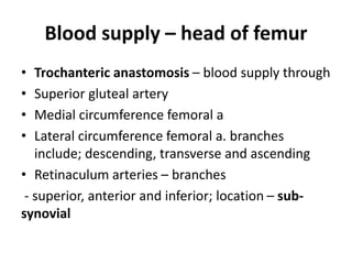 Blood supply – head of femur
• Trochanteric anastomosis – blood supply through
• Superior gluteal artery
• Medial circumference femoral a
• Lateral circumference femoral a. branches
include; descending, transverse and ascending
• Retinaculum arteries – branches
- superior, anterior and inferior; location – sub-
synovial
 