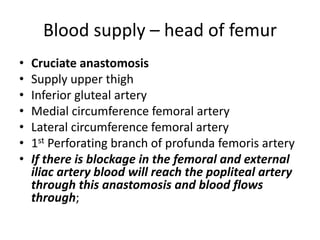 Blood supply – head of femur
• Cruciate anastomosis
• Supply upper thigh
• Inferior gluteal artery
• Medial circumference femoral artery
• Lateral circumference femoral artery
• 1st Perforating branch of profunda femoris artery
• If there is blockage in the femoral and external
iliac artery blood will reach the popliteal artery
through this anastomosis and blood flows
through;
 