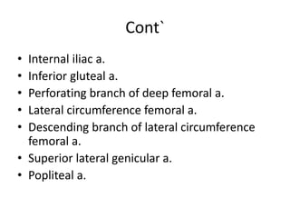 Cont`
• Internal iliac a.
• Inferior gluteal a.
• Perforating branch of deep femoral a.
• Lateral circumference femoral a.
• Descending branch of lateral circumference
femoral a.
• Superior lateral genicular a.
• Popliteal a.
 