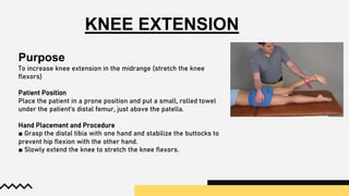 KNEE EXTENSION
Purpose
To increase knee extension in the midrange (stretch the knee
flexors)
Patient Position
Place the patient in a prone position and put a small, rolled towel
under the patient’s distal femur, just above the patella.
Hand Placement and Procedure
■ Grasp the distal tibia with one hand and stabilize the buttocks to
prevent hip flexion with the other hand.
■ Slowly extend the knee to stretch the knee flexors.
 