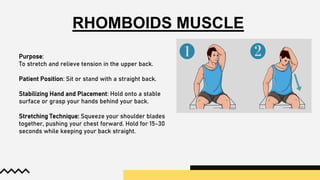 Purpose:
To stretch and relieve tension in the upper back.
Patient Position: Sit or stand with a straight back.
Stabilizing Hand and Placement: Hold onto a stable
surface or grasp your hands behind your back.
Stretching Technique: Squeeze your shoulder blades
together, pushing your chest forward. Hold for 15-30
seconds while keeping your back straight.
RHOMBOIDS MUSCLE
 