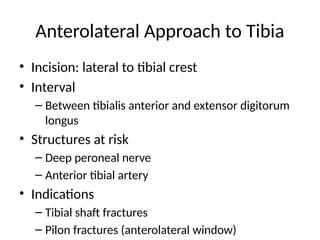 Comprehensive Surgical Approaches for Lower Limb Orthopaedics: Hip to ...