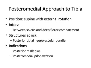 Comprehensive Surgical Approaches for Lower Limb Orthopaedics: Hip to ...