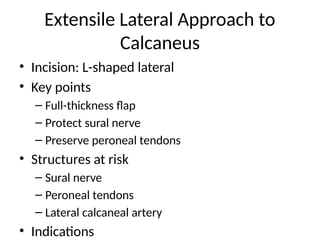 Comprehensive Surgical Approaches for Lower Limb Orthopaedics: Hip to ...