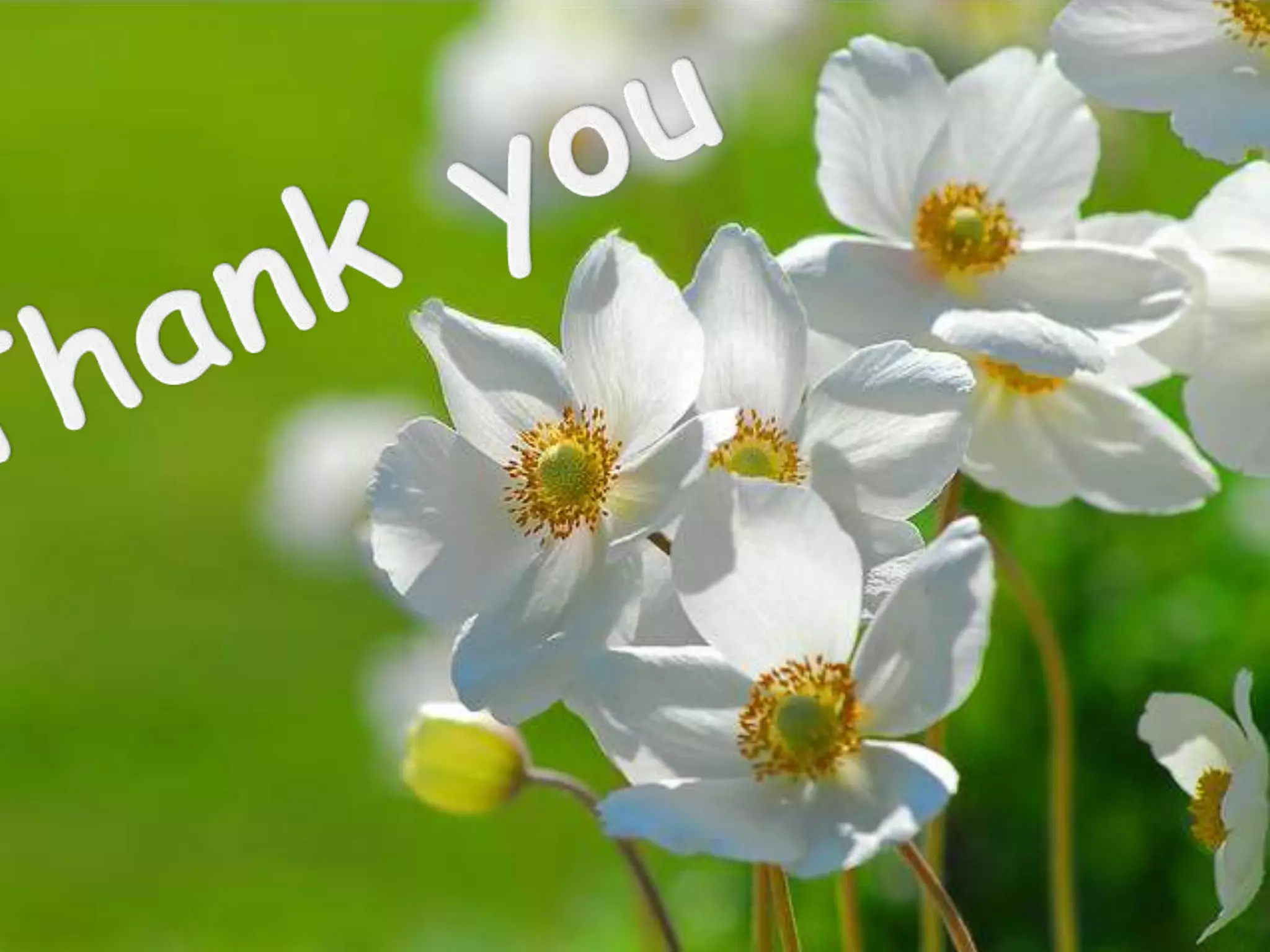 Lower  limb swilling