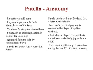 Patella - Anatomy
• Largest sesamoid bone
• Plays an important role in the
biomechanics of the knee.
• Very hard & triangular-shaped bone
• Situated in an exposed position in
front of the knee joint
• separated from the skin by
subcutaneous bursa.
• Patella Surfaces ▫ Ant. ▫ Post ▫ Lat.
& med.
Patella borders ▫ Base ▫ Med and Lat.
▫ Apex • Articulation
Post. surface central portion, is
covered with a layer of hyaline
cartilage.
• Articular cartilage of the patella is
the thickest in the body (up to 7-mm
thick)
Improves the efficiency of extension
during the last 30° of knee extension.
 