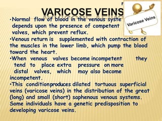 VARICOSE VEINS
• Normal flow of blood in the venous syste
depends upon the presence of competent
valves, which prevent reflux.
•Venous return is supplemented with contraction of
the muscles in the lower limb, which pump the blood
toward the heart.
•When venous valves become incompetent they
tend to place extra pressure on more
distal valves, which may also become
incompetent.
•This conditionproduces dilated tortuous superficial
veins (varicose veins) in the distribution of the great
(long) and small (short) saphenous venous systems.
Some individuals have a genetic predisposition to
developing varicose veins.
m
 