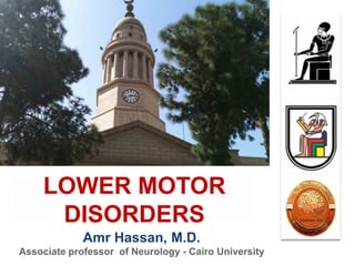 Amr Hassan, M.D.
Associate professor of Neurology - Cairo University
LOWER MOTOR
DISORDERS
 