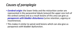 Causes of paraplegia
• Cerebral origin: the lower limbs and the micturition center are
represented in the paracentral lobule (around the upper one inch of
the cerbral cortex) and as a result lesions of this area can give us
paraparesis with bladder disturbance (urine retention, urgency or
incontinence).
• This makes it similar to spinal cord lesions which can also give us
paraparesis with bladder dysfunction.
 