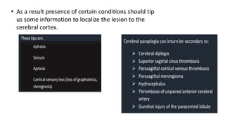 • As a result presence of certain conditions should tip
us some information to localize the lesion to the
cerebral cortex.
 