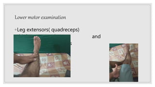 Lower motor examination
◦Leg extensors( quadreceps)
thigh extensor gluteus and
plus hamstring muscles
 