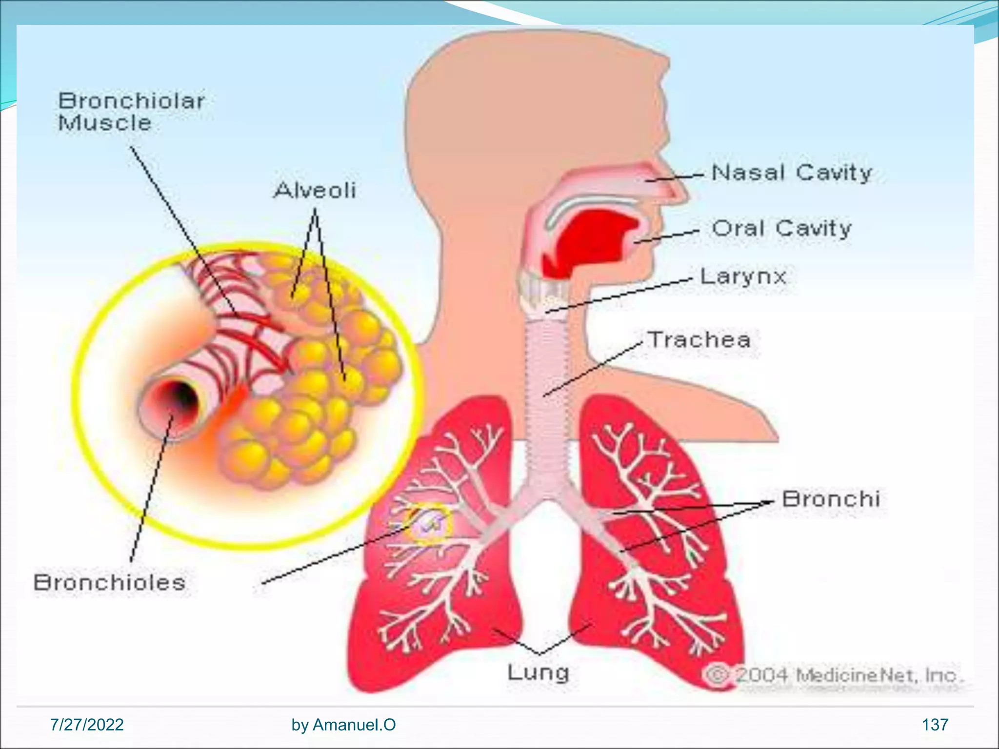 by Amanuel.O 137
7/27/2022
 