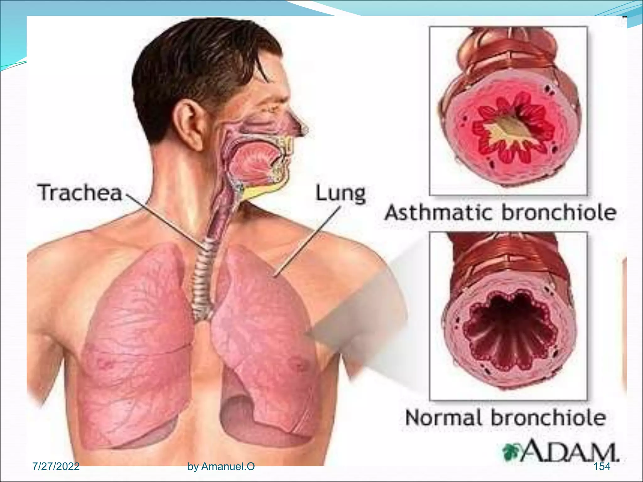 by Amanuel.O 154
7/27/2022
 