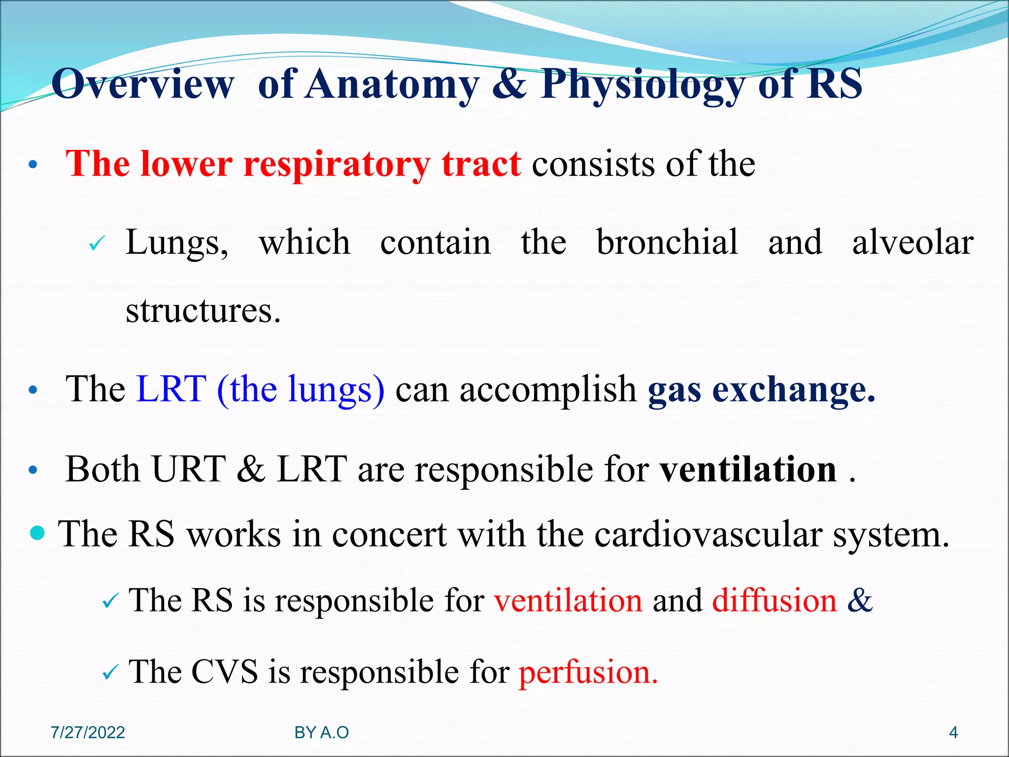 Overview of Anatomy & Physiology of RS
• The lower respiratory tract consists of the
 Lungs, which contain the bronchial and alveolar
structures.
• The LRT (the lungs) can accomplish gas exchange.
• Both URT & LRT are responsible for ventilation .
 The RS works in concert with the cardiovascular system.
 The RS is responsible for ventilation and diffusion &
 The CVS is responsible for perfusion.
BY A.O 4
7/27/2022
 
