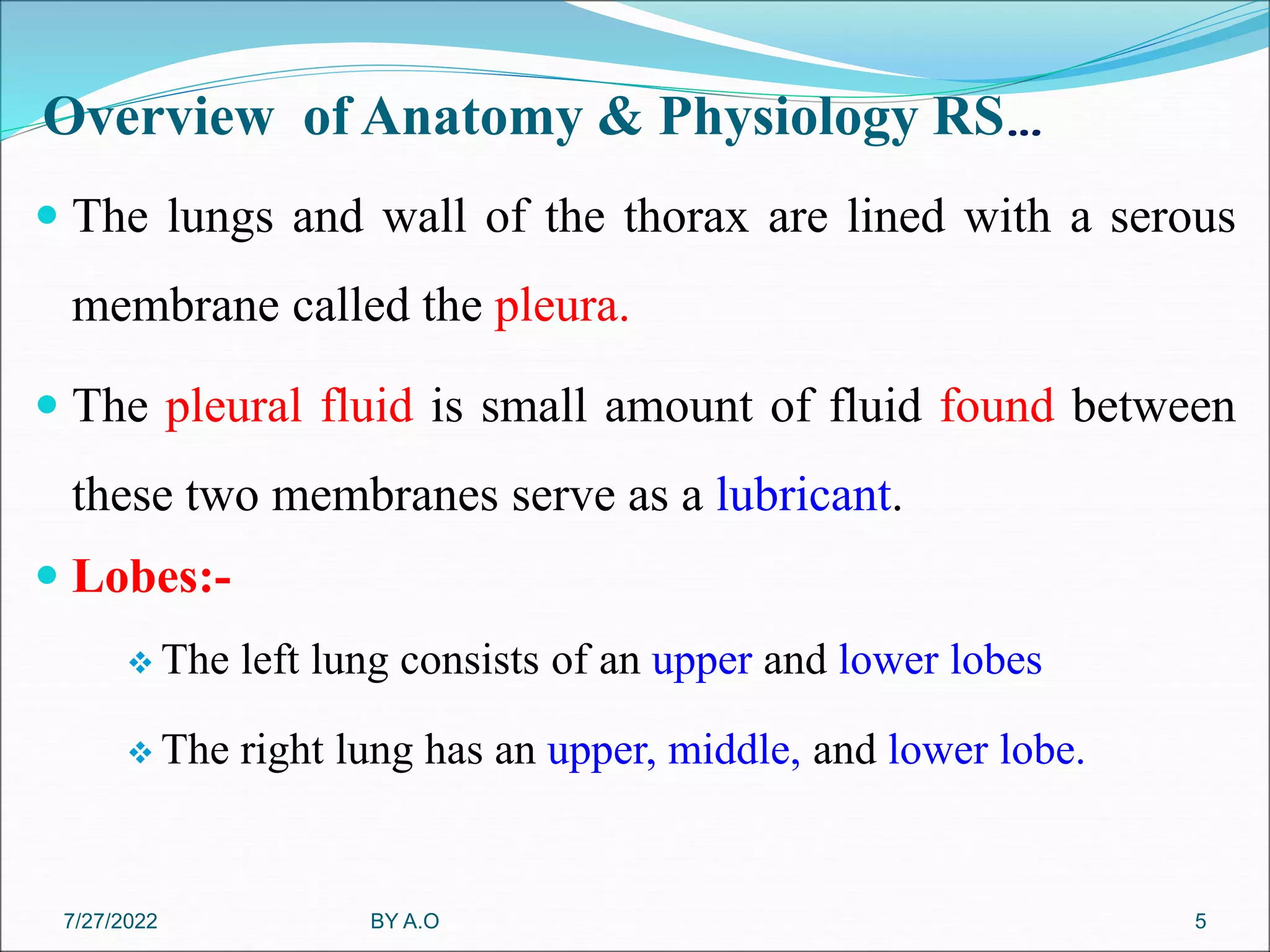 Overview of Anatomy & Physiology RS…
 The lungs and wall of the thorax are lined with a serous
membrane called the pleura.
 The pleural fluid is small amount of fluid found between
these two membranes serve as a lubricant.
 Lobes:-
 The left lung consists of an upper and lower lobes
 The right lung has an upper, middle, and lower lobe.
BY A.O 5
7/27/2022
 