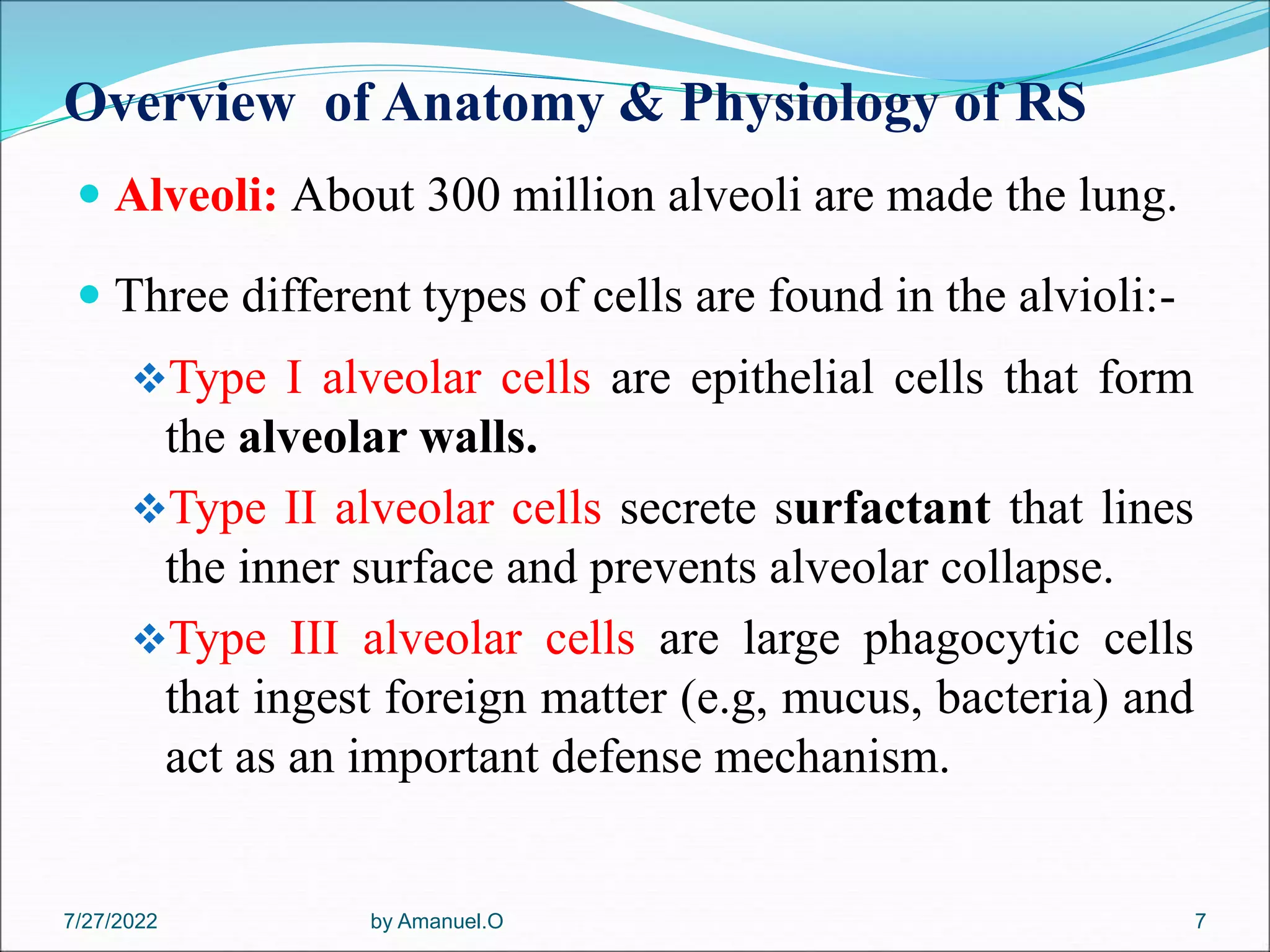 Overview of Anatomy & Physiology of RS
 Alveoli: About 300 million alveoli are made the lung.
 Three different types of cells are found in the alvioli:-
Type I alveolar cells are epithelial cells that form
the alveolar walls.
Type II alveolar cells secrete surfactant that lines
the inner surface and prevents alveolar collapse.
Type III alveolar cells are large phagocytic cells
that ingest foreign matter (e.g, mucus, bacteria) and
act as an important defense mechanism.
7/27/2022 by Amanuel.O 7
 