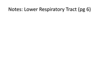 Notes: Lower Respiratory Tract (pg 6)
 