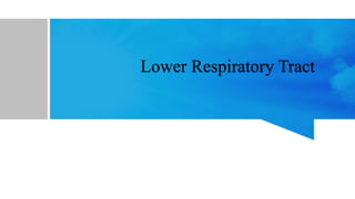 Lower Respiratory Tract
 