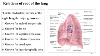 Lower respiratory tract (2).pdf