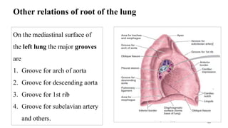 Lower respiratory tract (2).pdf