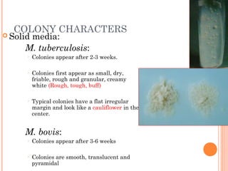 Laboratory diagnosis of Lower respiratory tract infection including ...