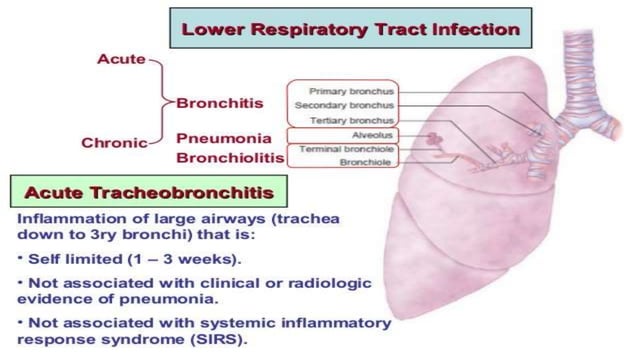 Lower Infection Rates Lower Respiratory Tract Infections.pptx