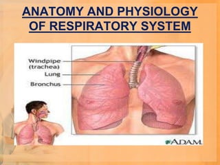 ANATOMY AND PHYSIOLOGY
 OF RESPIRATORY SYSTEM
 