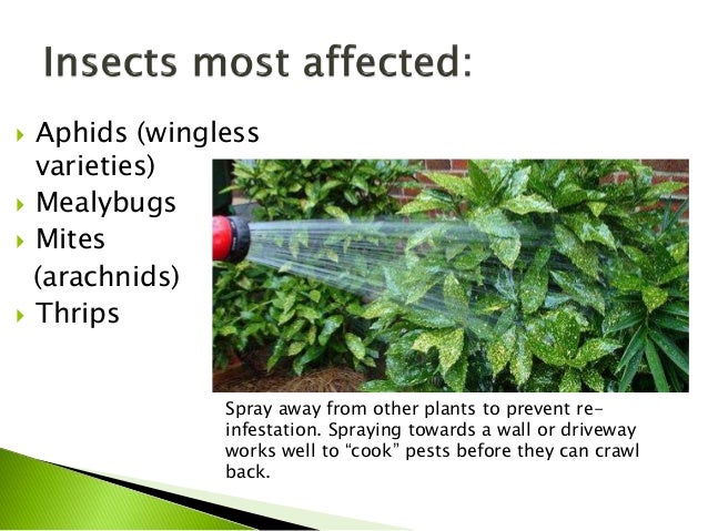 lower-risk-pest-control-products-practices-14-638.jpg?cb=1434727476