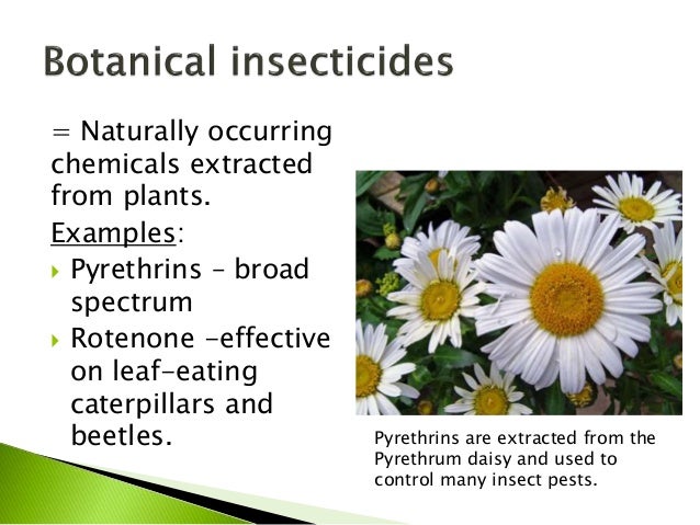 lower-risk-pest-control-products-practices-44-638.jpg?cb=1434727476