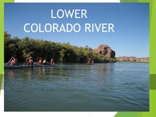 PUT PHOTO IN BACKGROUND
THIS SITE
LOWER
COLORADO RIVER
 