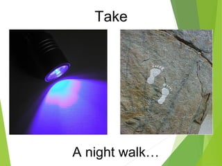 A night walk…
Take
 