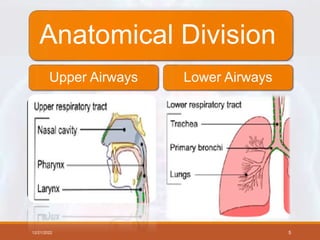 Anatomical Division
Upper Airways Lower Airways
12/21/2022 5
 