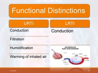 Functional Distinctions
URTI
Conduction
Filtration
Humidification
Warming of inhaled air
LRTI
Conduction
Gas exchange
12/21/2022 6
 
