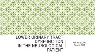 LOWER URINARY TRACT
DYSFUNCTION
IN THE NEUROLOGICAL
PATIENT
Ade Wijaya, MD
August 2018
 