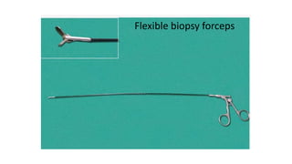 Flexible biopsy forceps
 