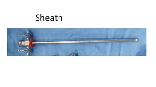 Sheath
 