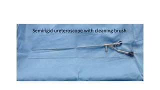 Semirigid ureteroscope with cleaning brush
 