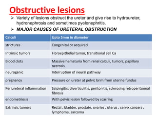 Lower Urinary Tract pathology.ppt
