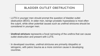 Luts Boo Lower Urinary Tract Symptoms in Young Men—.pptx